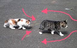 スリップストリームの解説図