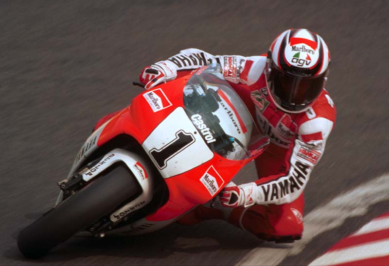 お手本中のお手本（ウィンレイニー）