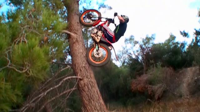 トミー・ボウをおだててしまった結果