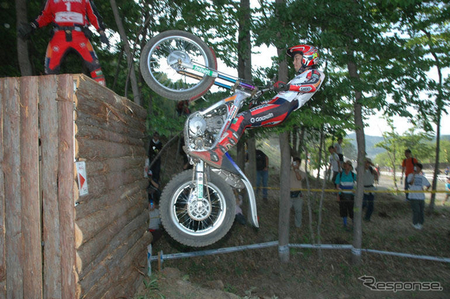 毎年かかさずに見に行くのがこれ!