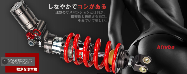 ライダーは立派なアクティブサスペンション(人の子デバイス)。 SBK界ではこれ?